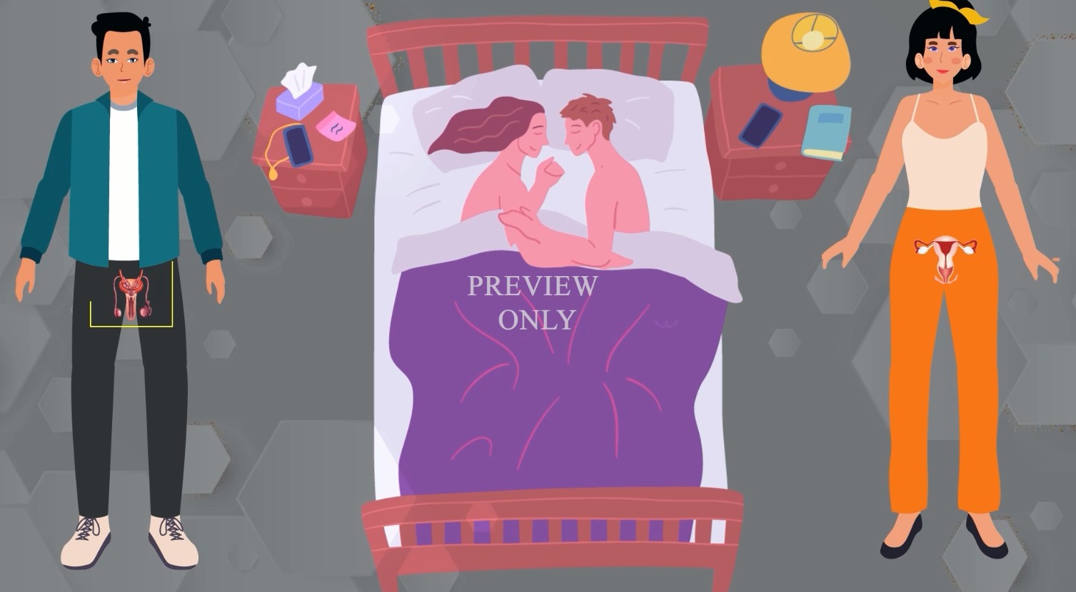 Reproductive health awareness segment with anatomical diagrams